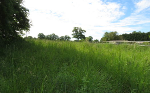 Building plot for sale in Montmorillon France Reference : 70505