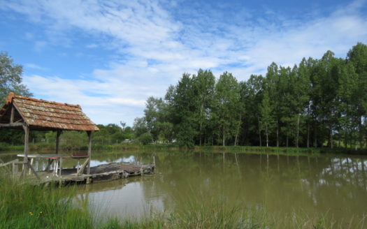 Lake for sale near Montmorillon France Reference : 70503